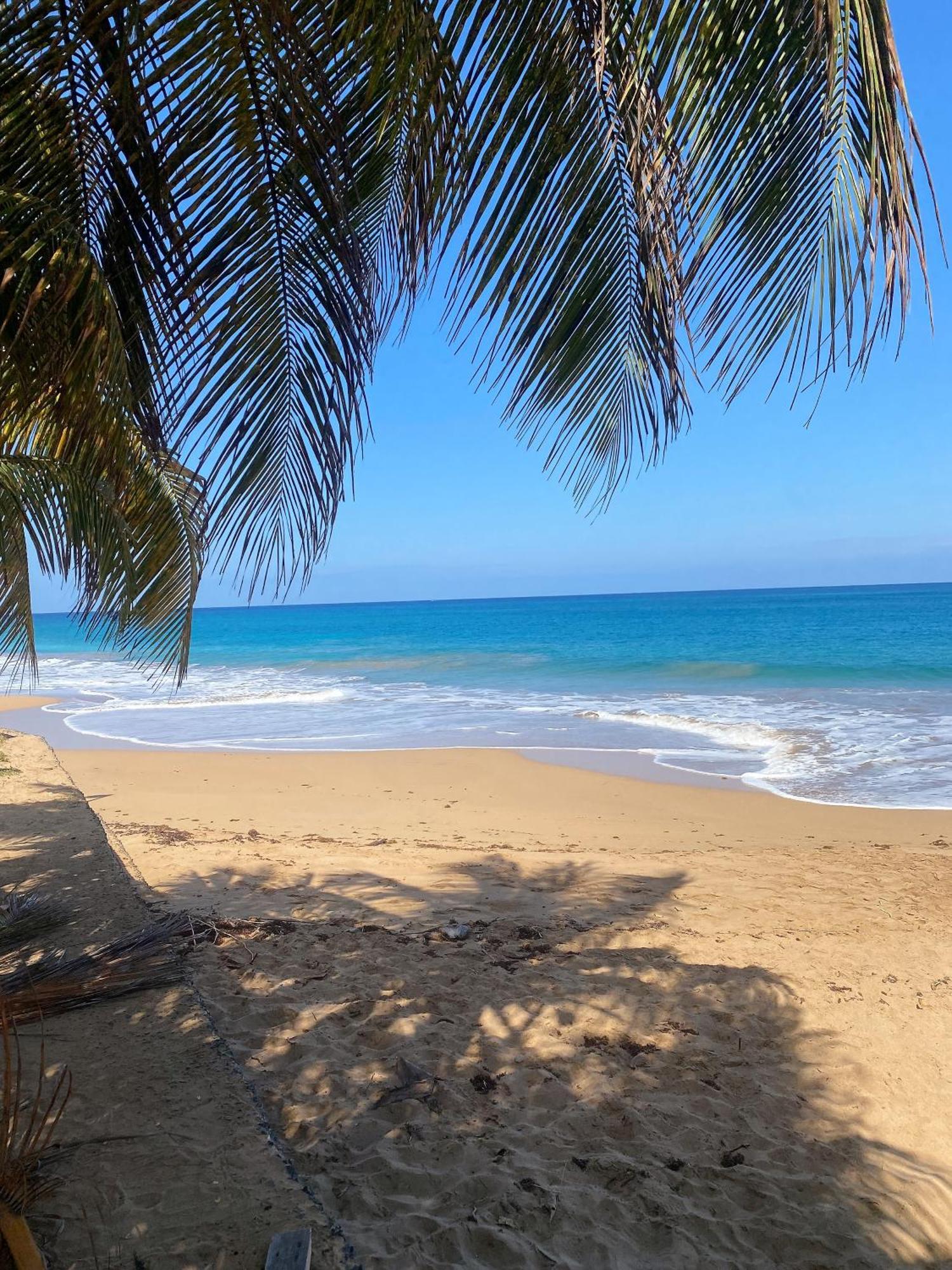 Charmant Bungalow Tout Confort Climatise - Terrasse Et Acces Plage ! Деше Экстерьер фото